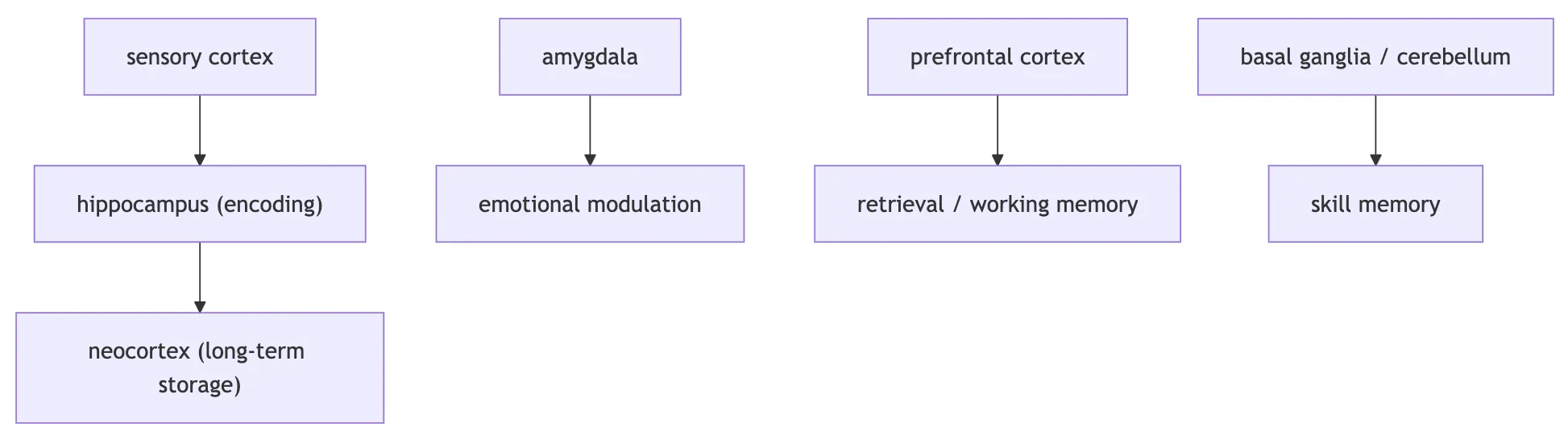 Flow diagram of the structure of the memory system